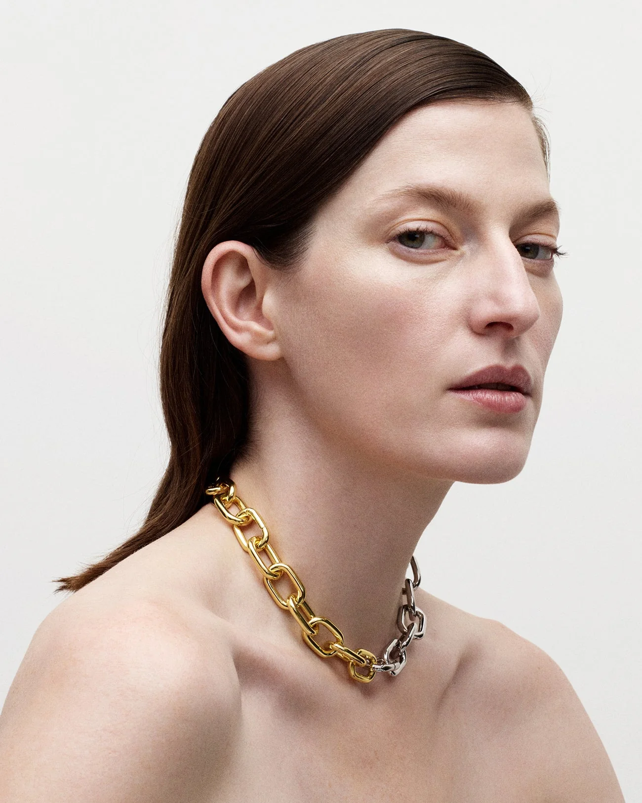 Interchangeable Link Necklace in Silver - Image 4